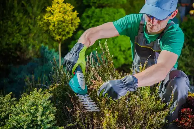 landscaping services Lindenhurst